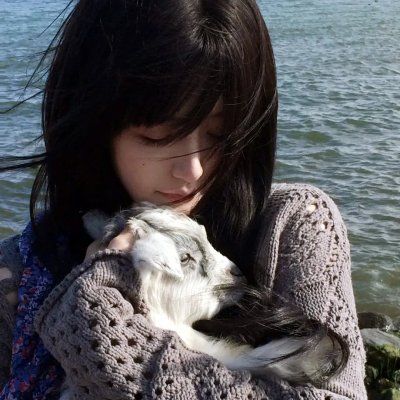 口碑剧情